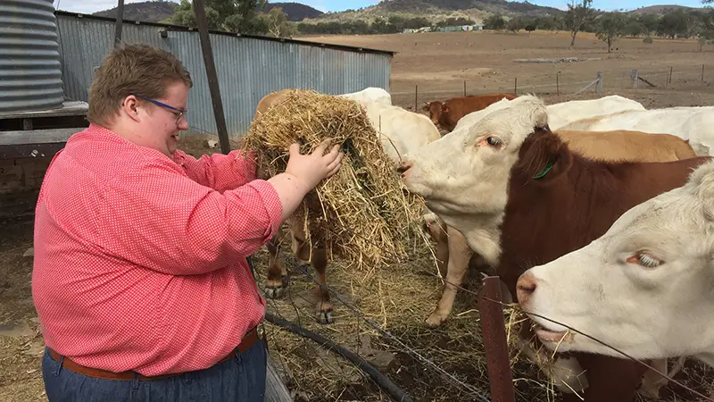 Feeding-animals